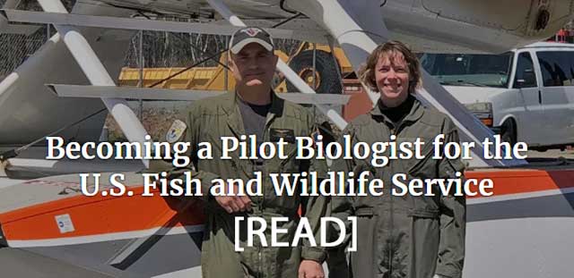 Becoming a USFWS pilot biologist