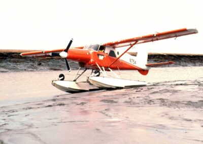 N754 on mud, Yukon Delta NWR. Photo by Bruce Conant.